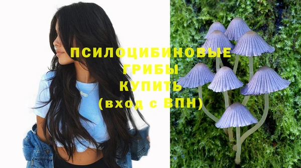 синтетический гашиш Лабытнанги