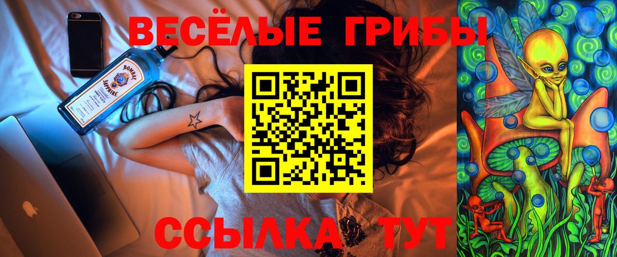 Галлюциногенные грибы Psilocybine cubensis Назрань