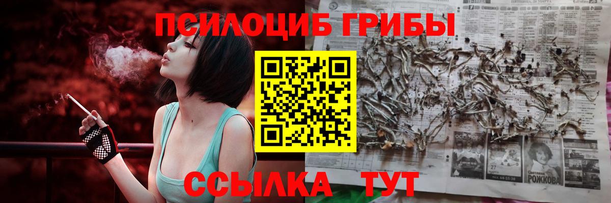 Псилоцибиновые грибы MAGIC MUSHROOMS  где можно купить наркотик  Назрань 